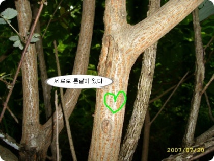 img67d_tmp_nansill.jpg?type=w420