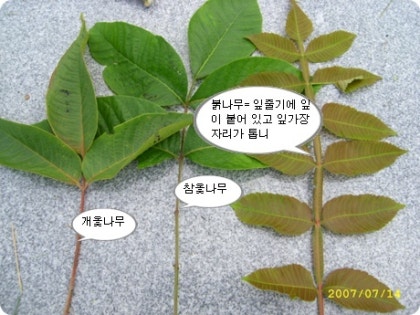img67b_tmp_nansill.jpg?type=w420