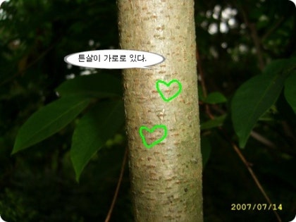 img67c_tmp_nansill.jpg?type=w420