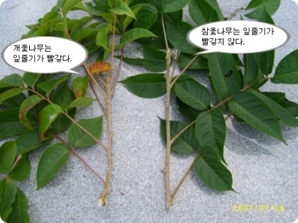 img679_tmp_nansill.jpg?type=w420