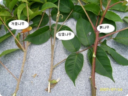 img67a_tmp_nansill.jpg?type=w420