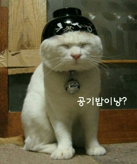 ■ 냥~~시리즈~~■