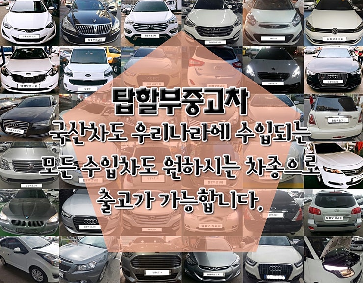 본문 이#미지