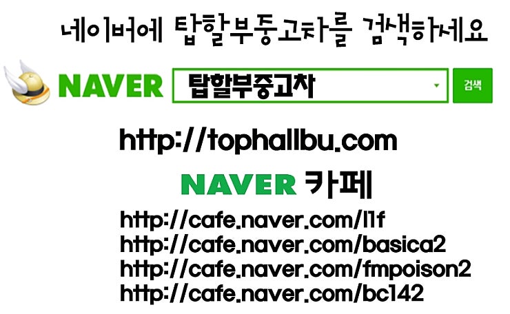 본문 이~미지