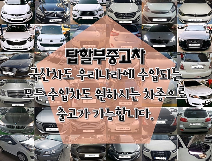 본문 이~미지