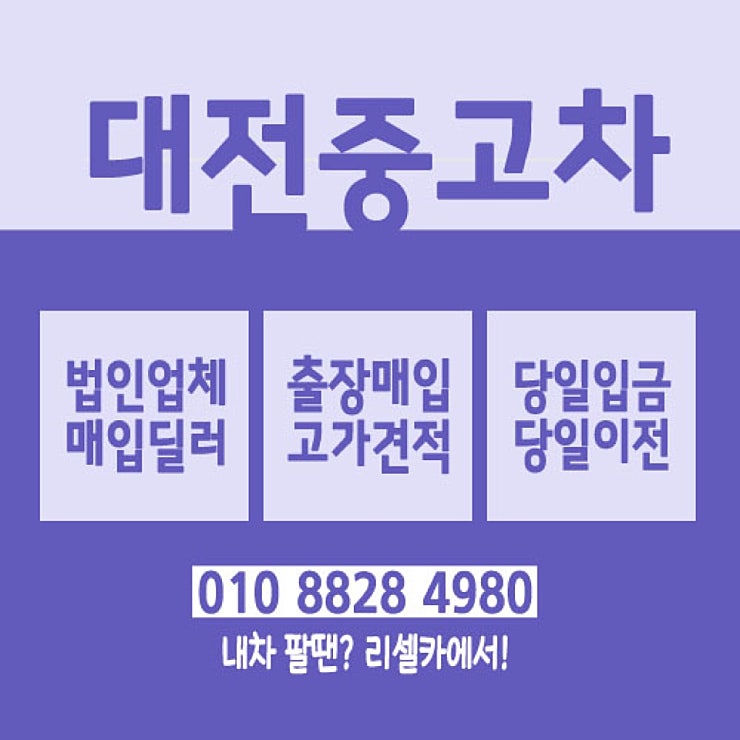 본문 이~미지