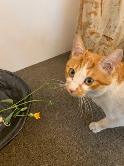KakaoTalk_20191207_123126389_14.jpg?type