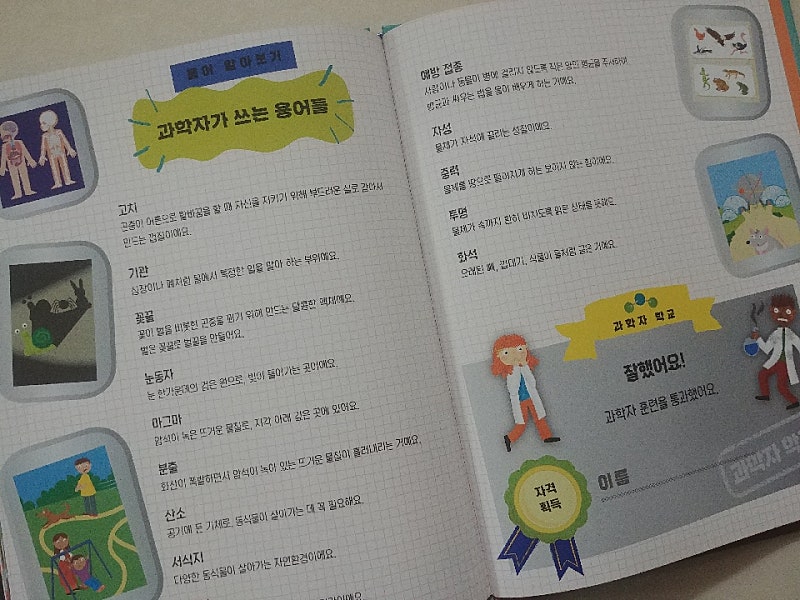 본문 이미지