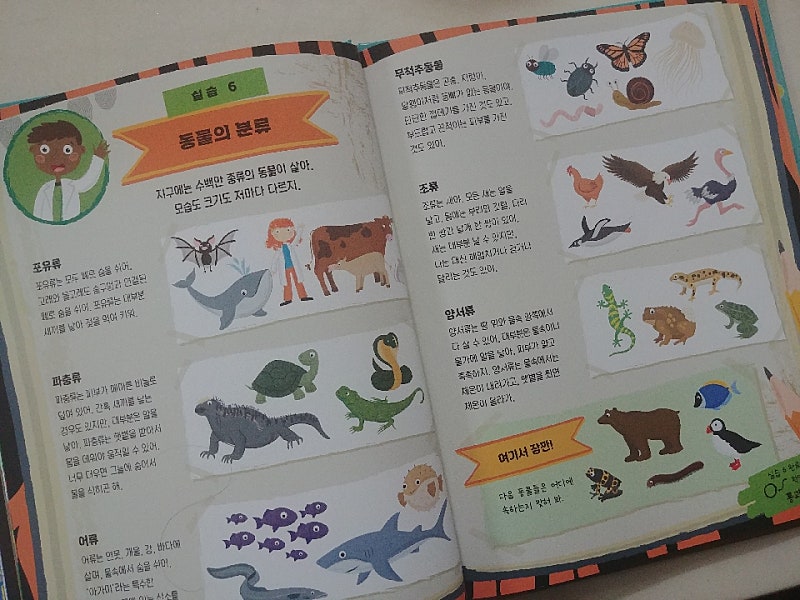 본문 이미지