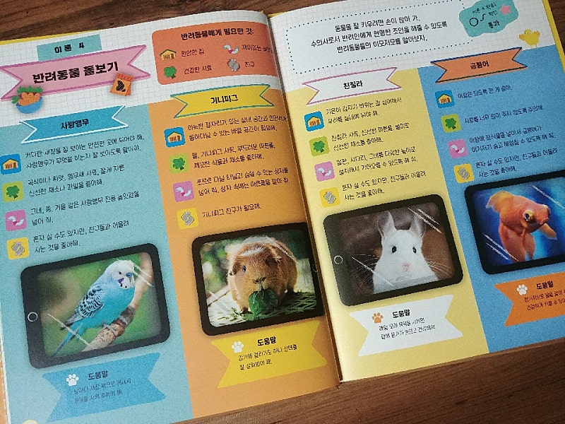 본문 이미지