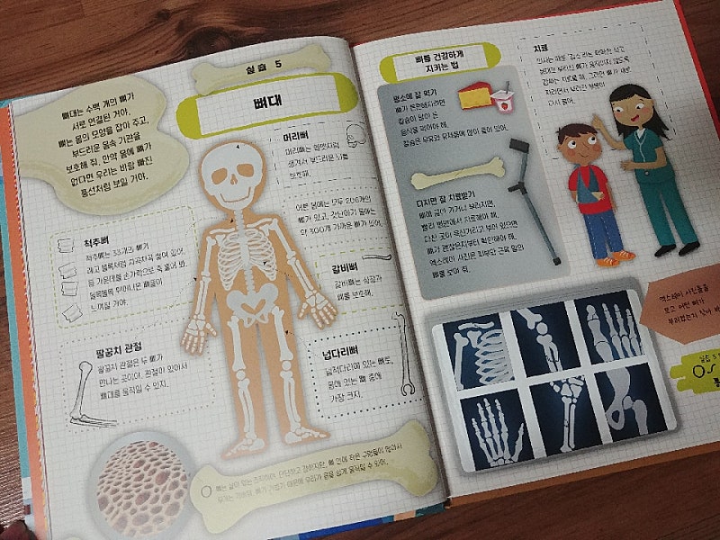 본문 이미지