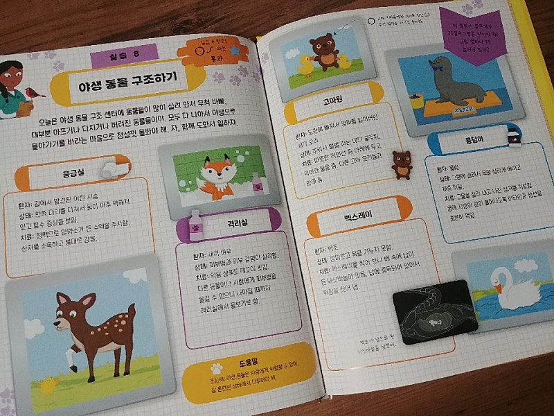 본문 이미지