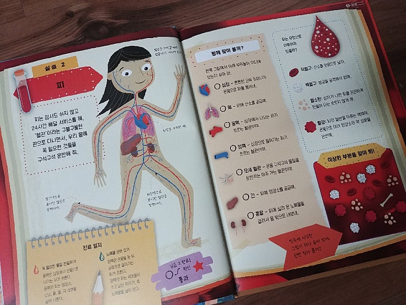 본문 이미지