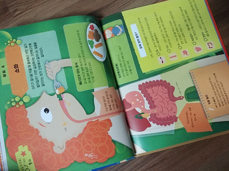 본문 이미지