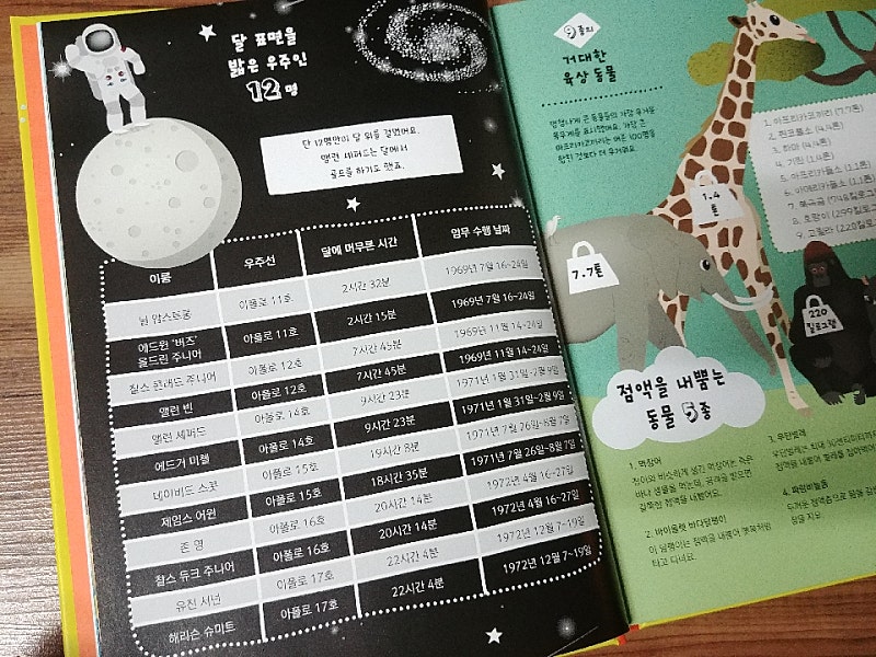 본문 이미지