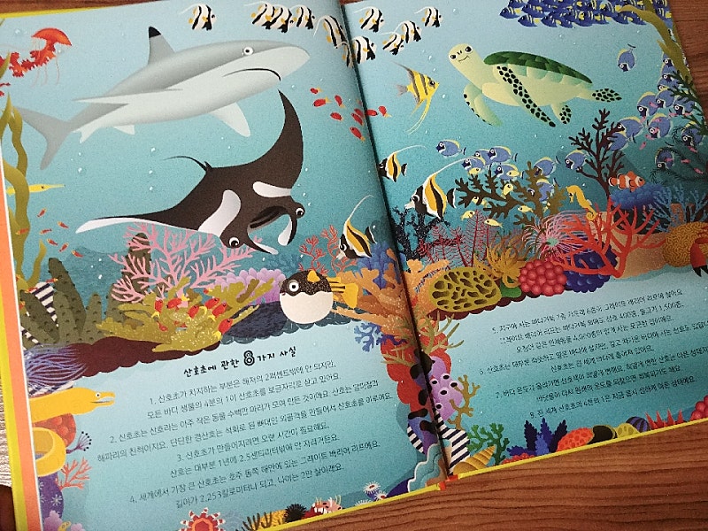 본문 이미지
