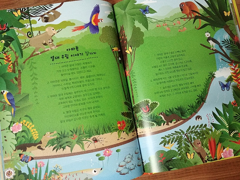본문 이미지