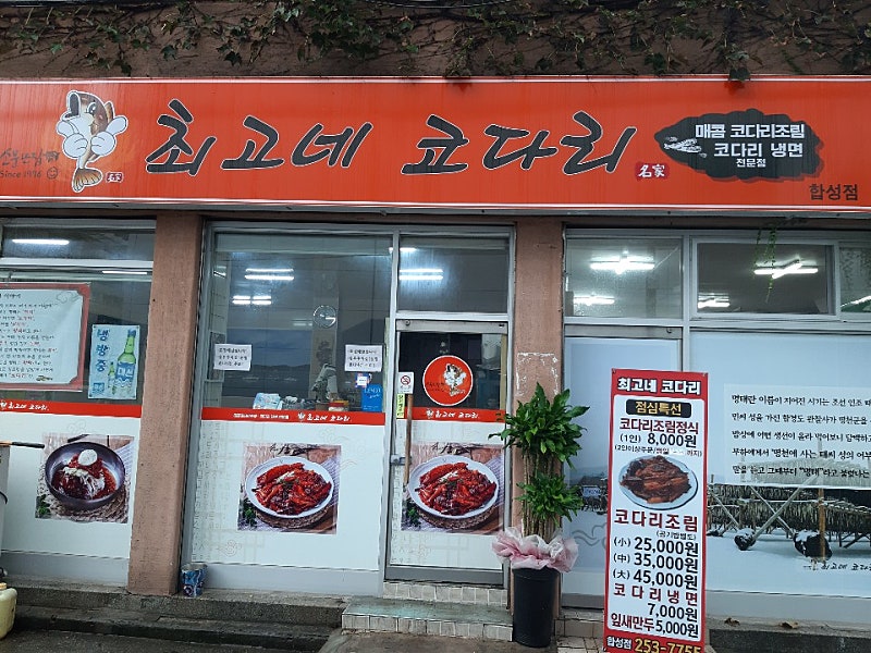 최고네코다리 이미지