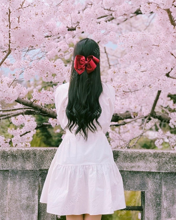 메이윤 의류 꽃비ops 및 여리원피스 삽니다. (서울직거래 및 안전거래만)