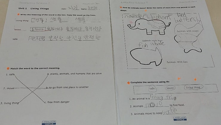 본문 이미지