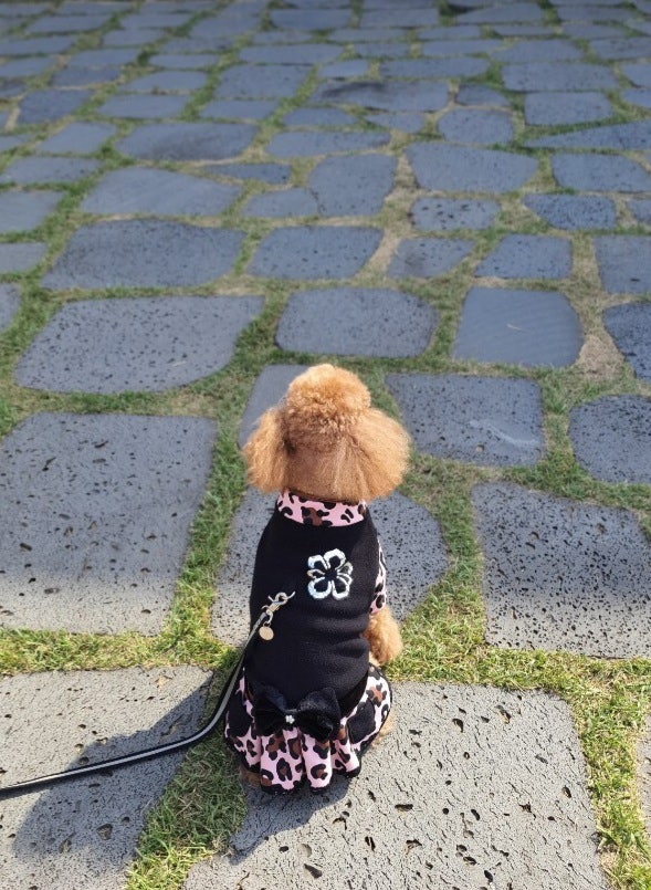 새첩당 이미지