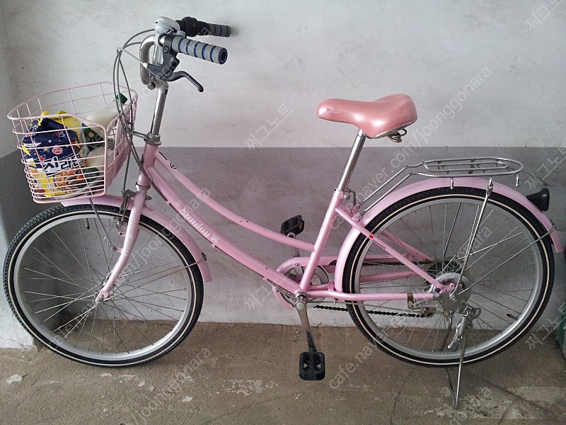 여성용 장바구니 자전거
