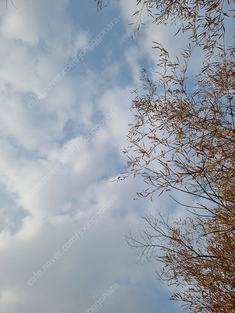 노스피크 a6 소밀로 a7/퍼식이 소밀 구해봐요--0