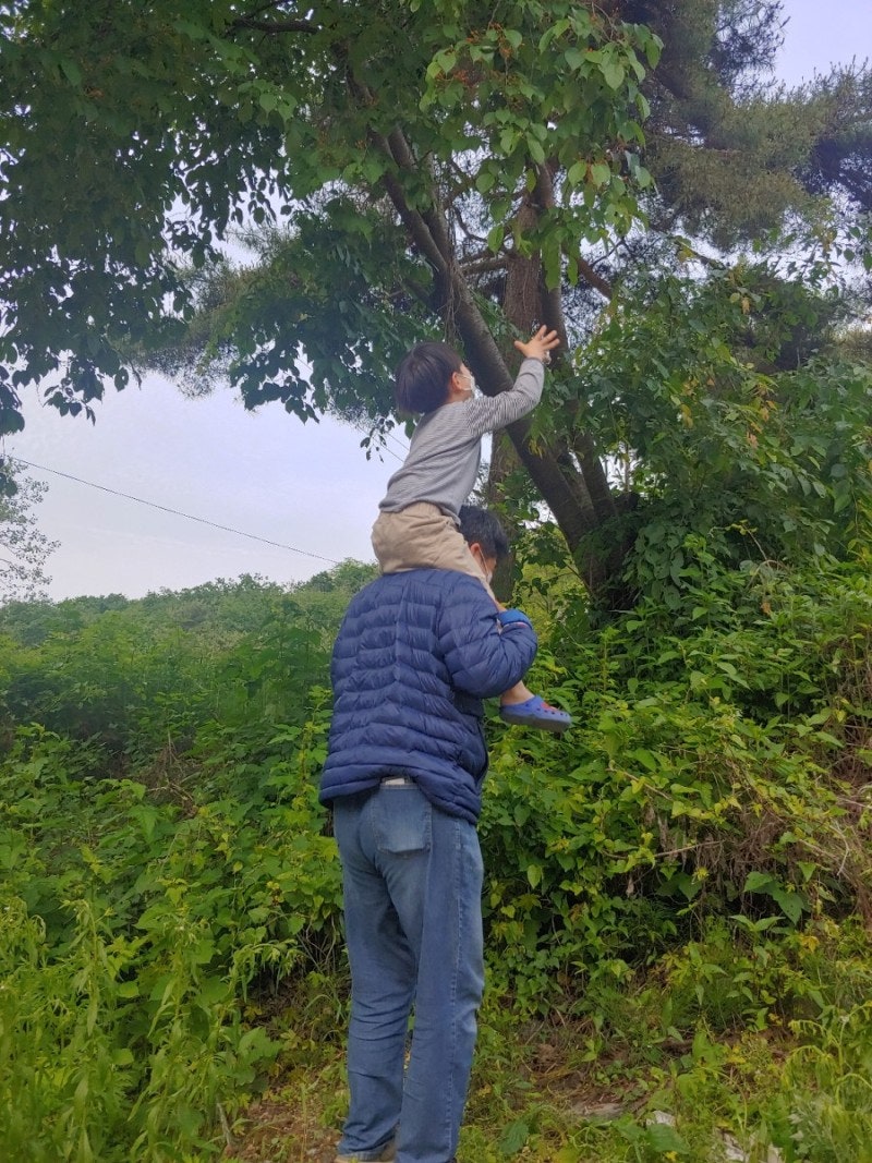마운틴캠핑장 이미지