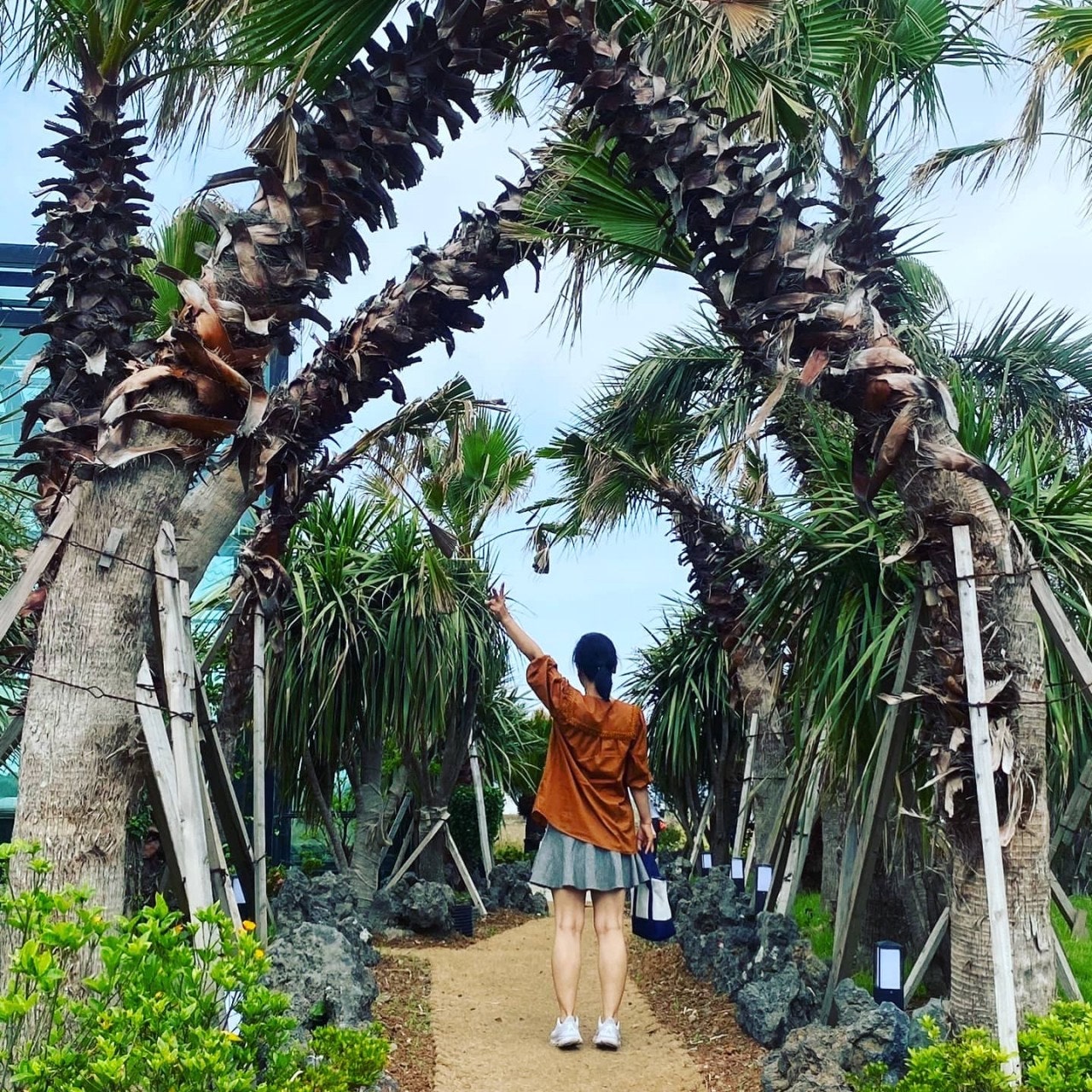 카도돈카츠 이미지
