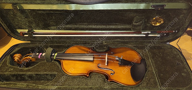 3/4 바이올린 (모델 v100)